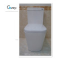 Toilette monobloc avec S-Trap et P-Trap populaire en Australie (A-6014)